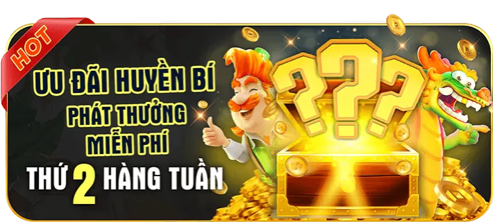 Hình ảnh hoàn trả tiền cược hàng tuần