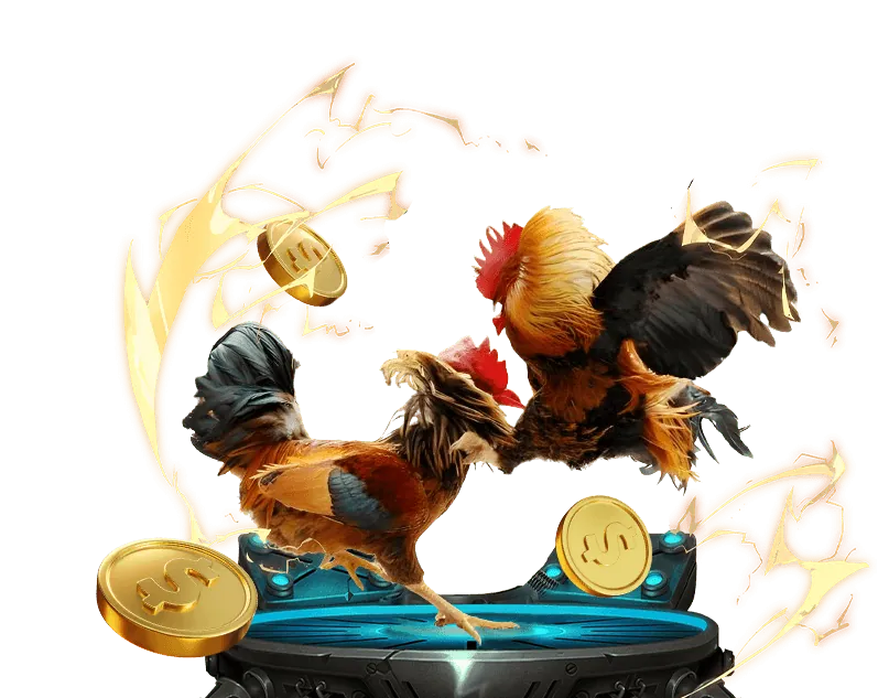 Biểu tượng hoàn trả tiền, thể hiện chương trình hoàn trả cược hàng tuần/tháng